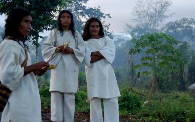 Diagnostic de santé territoriale entre Kogis et scientifiques pour un nouveau regard sur le monde 