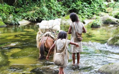 Shikuakala 2023 – Diagnostic de santé territoriale en septembre
